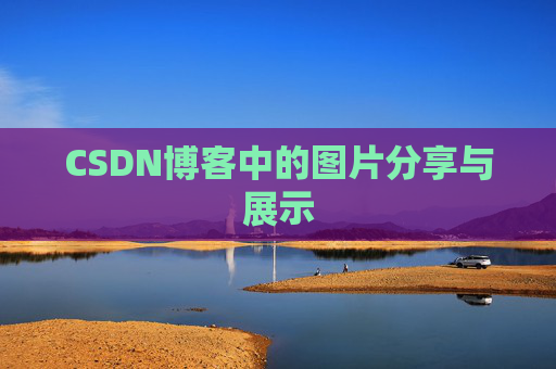 CSDN博客中的图片分享与展示
